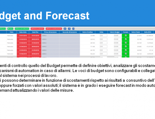 Budget and Forecast